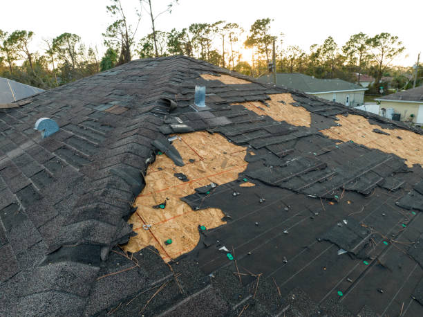 Best Roof Maintenance and Cleaning  in Peekskill, NY